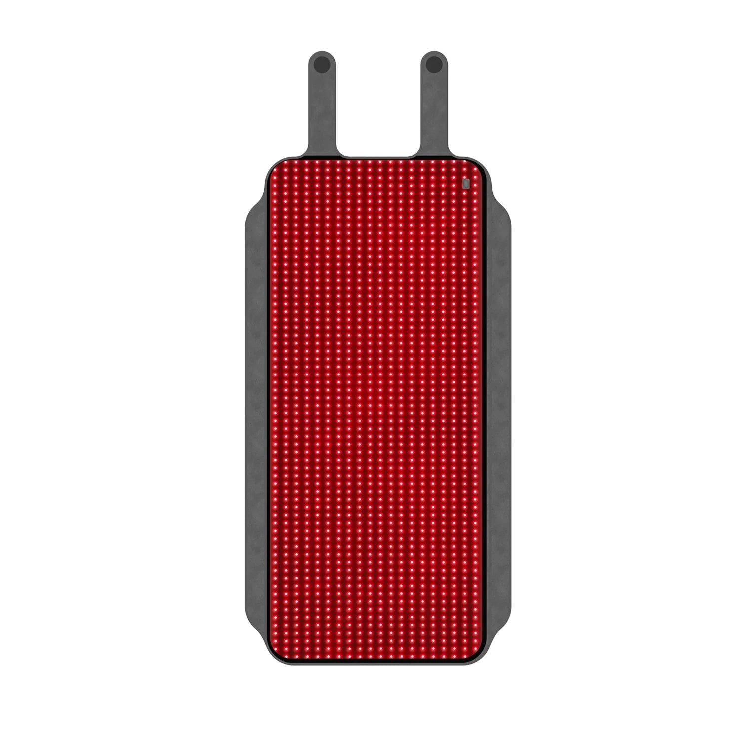 Red and Near-Infrared Light Therapy Bag